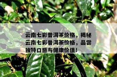 云南七彩普洱茶价格，揭秘云南七彩普洱茶价格，品尝特别口感与健康价值！