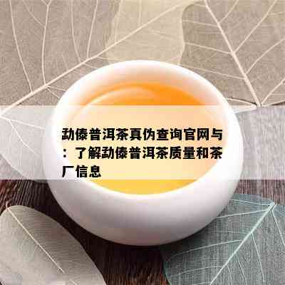 勐傣普洱茶真伪查询官网与：熟悉勐傣普洱茶品质和茶厂信息