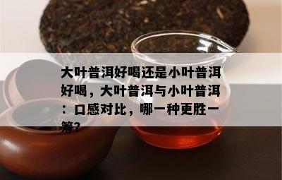 大叶普洱好喝还是小叶普洱好喝，大叶普洱与小叶普洱：口感对比，哪一种更胜一筹？