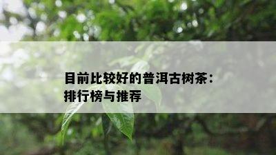 目前比较好的普洱古树茶：排行榜与推荐