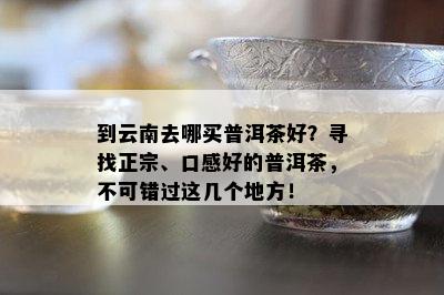 到云南去哪买普洱茶好？寻找正宗、口感好的普洱茶，不可错过这几个地方！