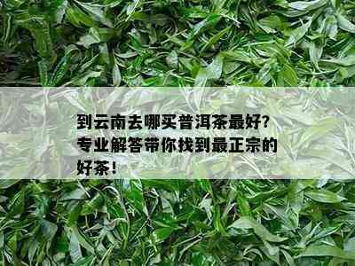 到云南去哪买普洱茶更好？专业解答带你找到最正宗的好茶！