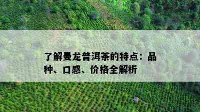 熟悉曼龙普洱茶的特点：品种、口感、价格全解析