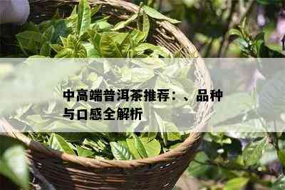 中高端普洱茶推荐：、品种与口感全解析