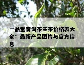 一品堂普洱茶生茶价格表大全：最新产品图片与官方信息