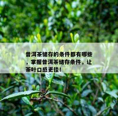 普洱茶储存的条件都有哪些，掌握普洱茶储存条件，让茶叶口感更佳！