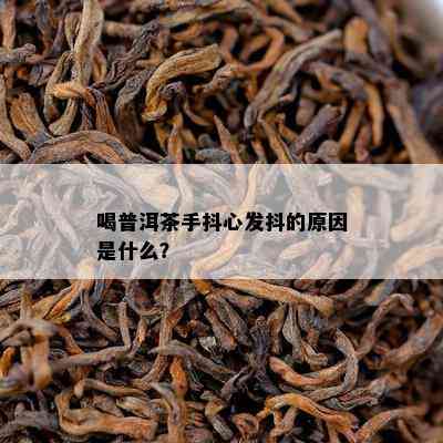 喝普洱茶手抖心发抖的起因是什么？