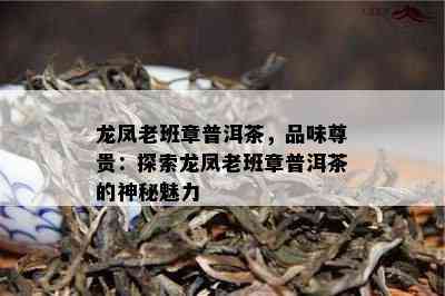 龙凤老班章普洱茶，品味尊贵：探索龙凤老班章普洱茶的神秘魅力