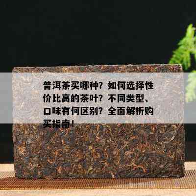 普洱茶买哪种？怎样选择性价比高的茶叶？不同类型、口味有何区别？全面解析购买指南！