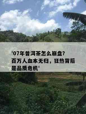 '07年普洱茶怎么崩盘？百万人血本无归，狂热背后是品质危机'