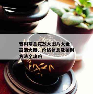 普洱茶金花放大图片大全：高清大图、价格信息及鉴别方法全攻略