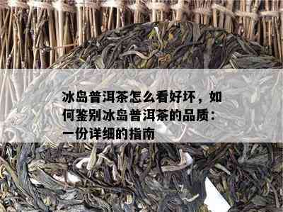 冰岛普洱茶怎么看好坏，怎样鉴别冰岛普洱茶的品质：一份详细的指南