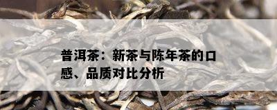 普洱茶：新茶与陈年茶的口感、品质对比分析