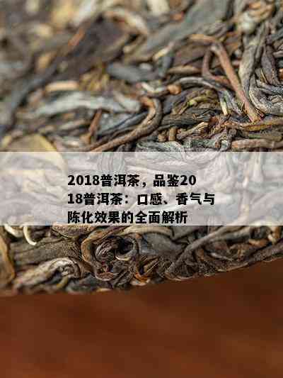 2018普洱茶，品鉴2018普洱茶：口感、香气与陈化效果的全面解析