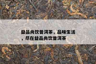 益品尚饮普洱茶，品味生活，尽在益品尚饮普洱茶