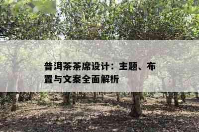 普洱茶茶席设计：主题、布置与文案全面解析