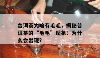 普洱茶为啥有毛毛，揭秘普洱茶的“毛毛”现象：为什么会出现？