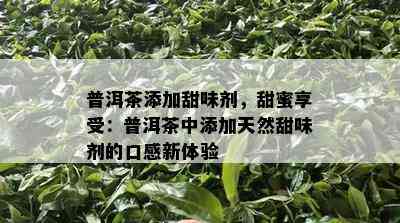 普洱茶添加甜味剂，甜蜜享受：普洱茶中添加天然甜味剂的口感新体验