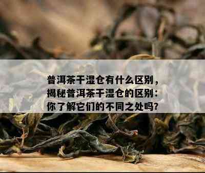 普洱茶干湿仓有什么区别，揭秘普洱茶干湿仓的区别：你熟悉它们的不同之处吗？