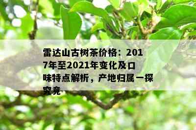 雷达山古树茶价格：2017年至2021年变化及口味特点解析，产地归属一探究竟