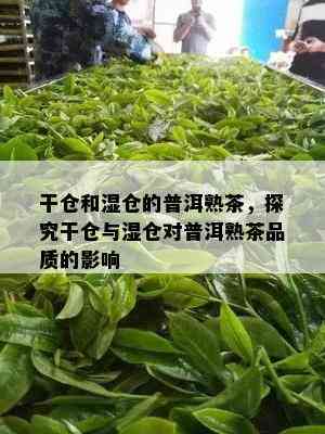 干仓和湿仓的普洱熟茶，探究干仓与湿仓对普洱熟茶品质的作用