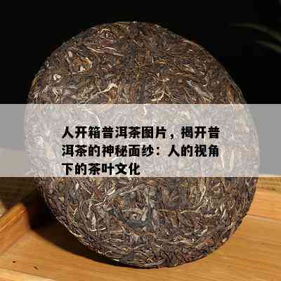 人开箱普洱茶图片，揭开普洱茶的神秘面纱：人的视角下的茶叶文化