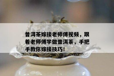 普洱茶嫁接老师傅视频，跟着老师傅学做普洱茶，手把手教你嫁接技巧！