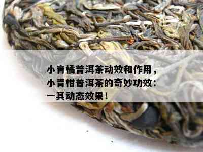 小青橘普洱茶动效和作用，小青柑普洱茶的奇妙功效：一其动态效果！