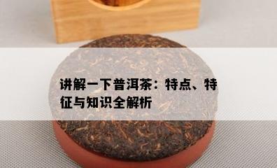 讲解一下普洱茶：特点、特征与知识全解析