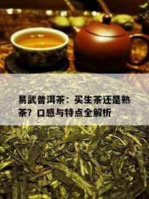 易武普洱茶：买生茶还是熟茶？口感与特点全解析