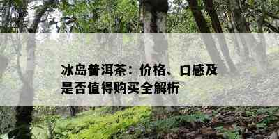 冰岛普洱茶：价格、口感及是否值得购买全解析