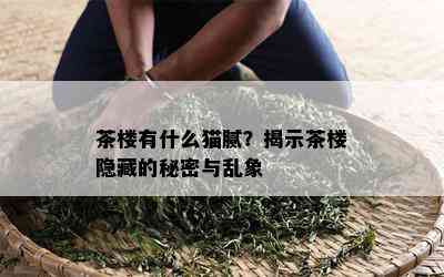 茶楼有什么猫腻？揭示茶楼隐藏的秘密与乱象