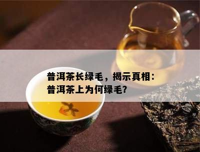 普洱茶长绿毛，揭示真相：普洱茶上为何绿毛？