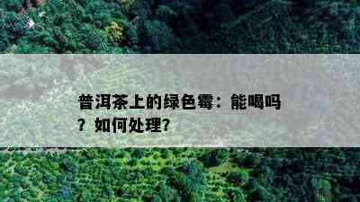 普洱茶上的绿色霉：能喝吗？怎样解决？