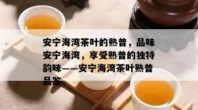 安宁海湾茶叶的熟普，品味安宁海湾，享受熟普的特别韵味——安宁海湾茶叶熟普品鉴