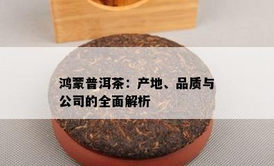 鸿蒙普洱茶：产地、品质与公司的全面解析