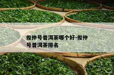 俊仲号普洱茶哪个好-俊仲号普洱茶排名