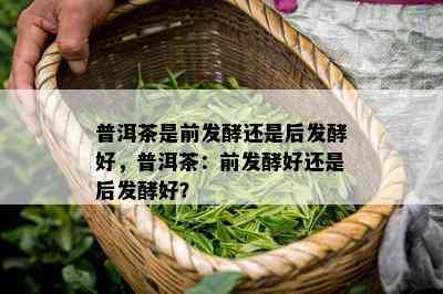 普洱茶是前发酵还是后发酵好，普洱茶：前发酵好还是后发酵好？