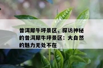 普洱犀牛坪景区，探访神秘的普洱犀牛坪景区：大自然的魅力无处不在