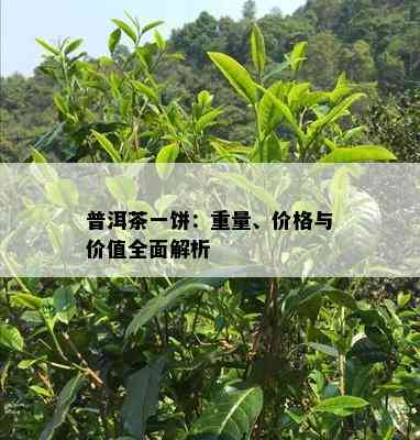 普洱茶一饼：重量、价格与价值全面解析