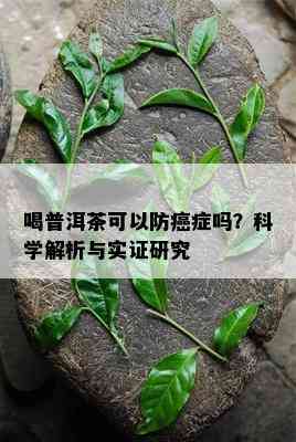 喝普洱茶可以防癌症吗？科学解析与实证研究