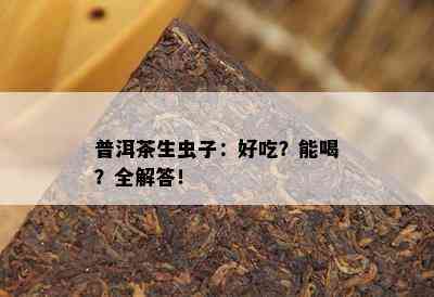 普洱茶生虫子：好吃？能喝？全解答！