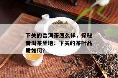 下关的普洱茶怎么样，探秘普洱茶圣地：下关的茶叶品质如何？