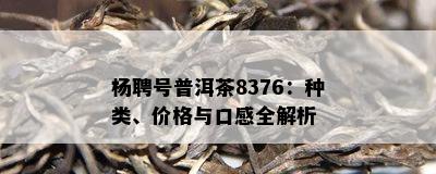 杨聘号普洱茶8376：种类、价格与口感全解析