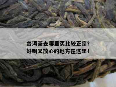 普洱茶去哪里买比较正宗？好喝又放心的地方在这里！