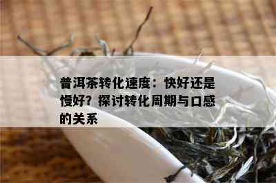 普洱茶转化速度：快好还是慢好？探讨转化周期与口感的关系