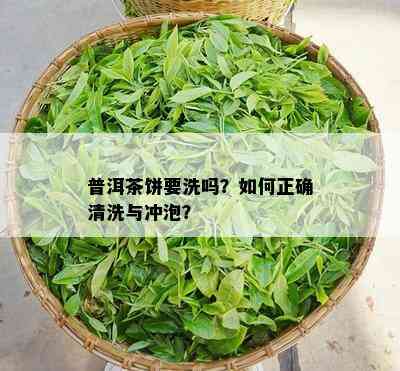 普洱茶饼要洗吗？如何正确清洗与冲泡？