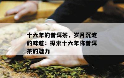 十六年的普洱茶，岁月沉淀的味道：探索十六年陈普洱茶的魅力