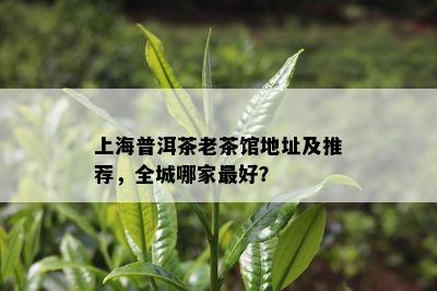 上海普洱茶老茶馆地址及推荐，全城哪家更好？