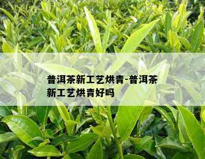 普洱茶新工艺烘青-普洱茶新工艺烘青好吗